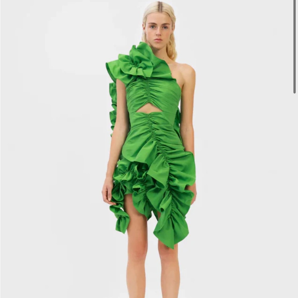 NWT Aknavas green jagger mini dress